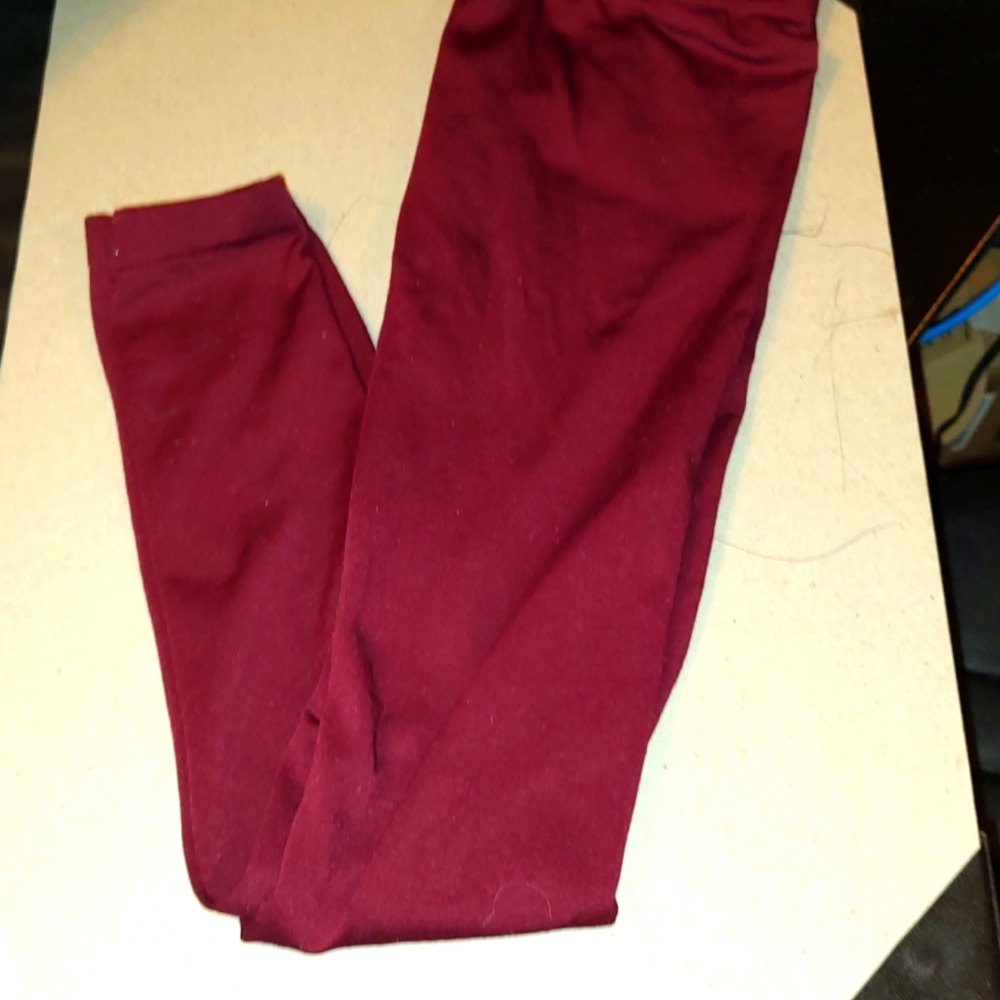 Burgundy tights